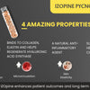 Izopine Pycnogenol 50mg 30Caps
